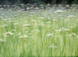 Sophie Labayle Herbes sauvages / Wild herbs