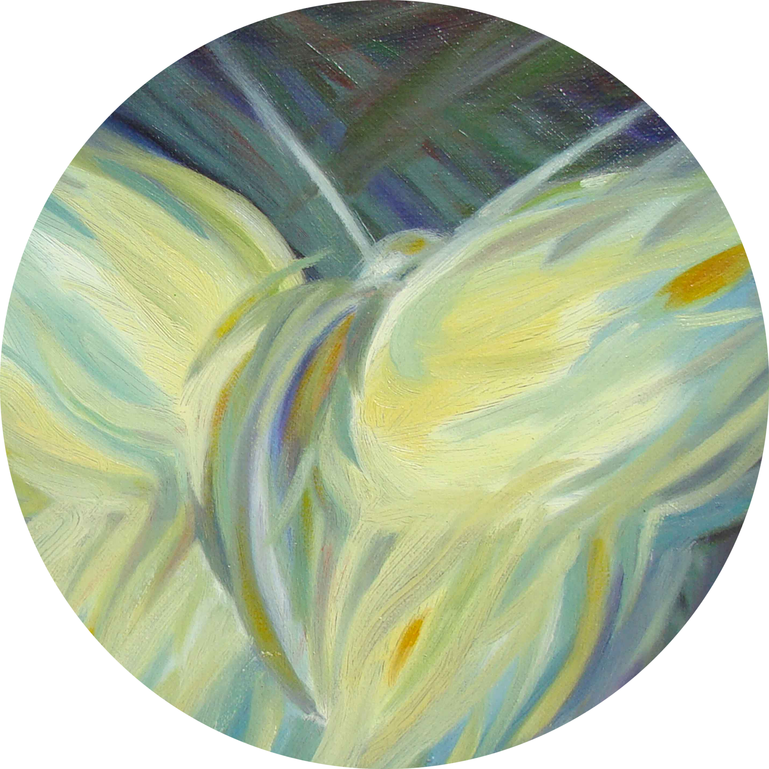 Wild Garden sophie labayle art nature paintings